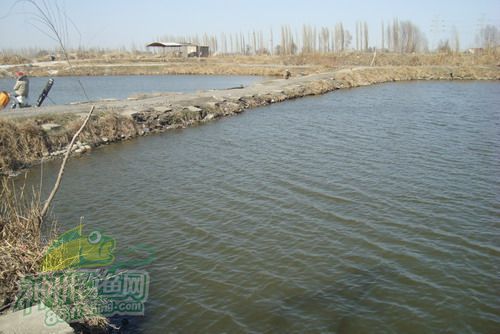 乌尔禾区 乌尔禾区