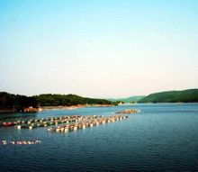 五河县沱湖-沱湖 五河县沱湖-沱湖