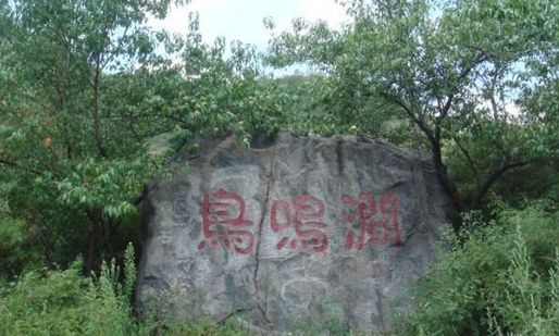 ԫ����������