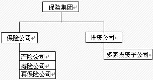 人身保险投资的组织模式 人身保险投资的组织模式