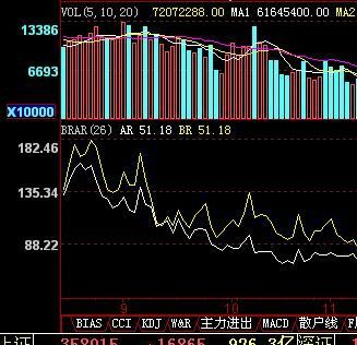 BRARָ�����