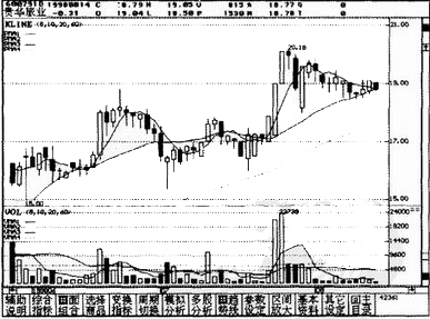 T��С����ʵ������