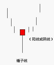 �����ߵ���̬����