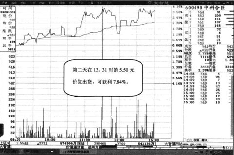 �Գ��ǵ�������