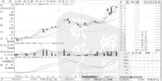 ���ڻ�Ծʵս����