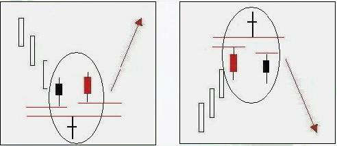 ��Ӥ��̬������