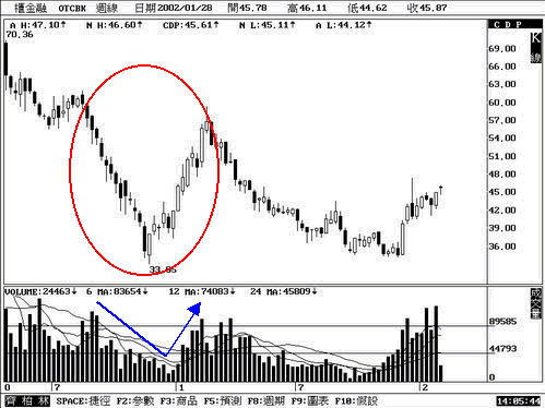 V����̬��ɫ