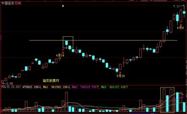 ׯ�ɵ����˹���