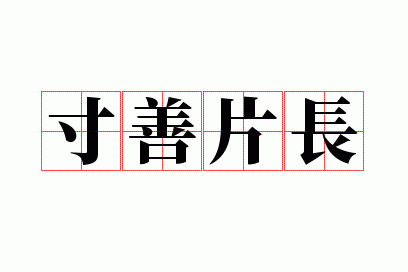 ����Ƭ��