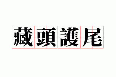 藏头护尾