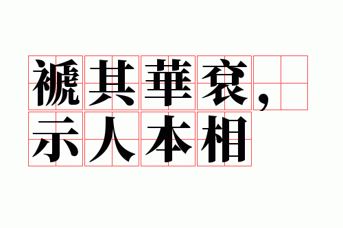 ���仪��ʾ�˱���