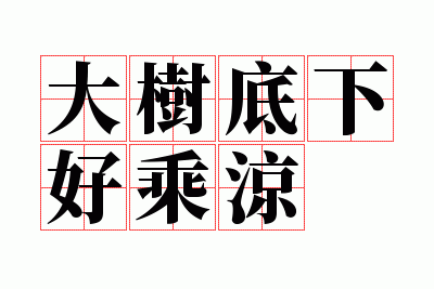 �������ºó���