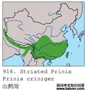 ɽ��ݺ�ĵ����ֲ�ͼ