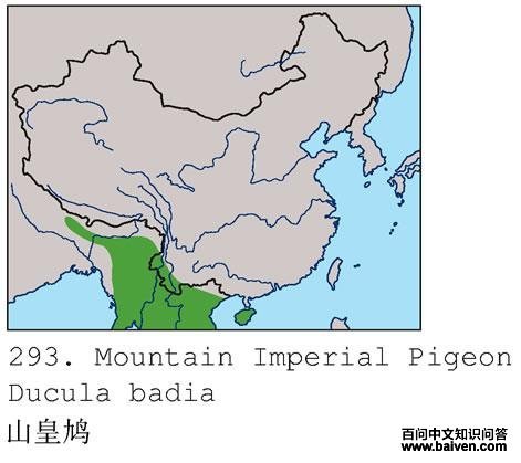 ɽ���ĵ����ֲ�ͼ