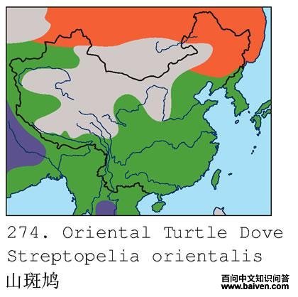 ɽ���ĵ����ֲ�ͼ