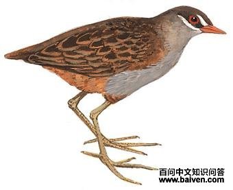 ��ü�Ｆ��ͼ��