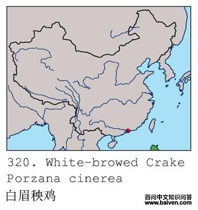 ��ü�Ｆ�ĵ����ֲ�ͼ