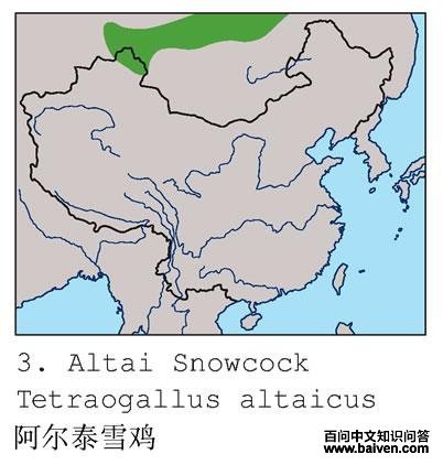 ����̩ѩ���ĵ����ֲ�ͼ