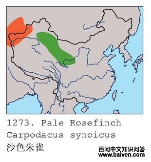 ɳɫ��ȸ�ĵ����ֲ�ͼ