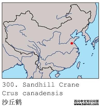 ɳ��׵ĵ����ֲ�ͼ