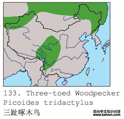 ��ֺ��ľ��ĵ����ֲ�ͼ