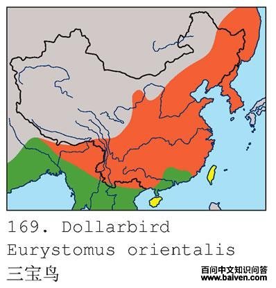 ������ĵ����ֲ�ͼ