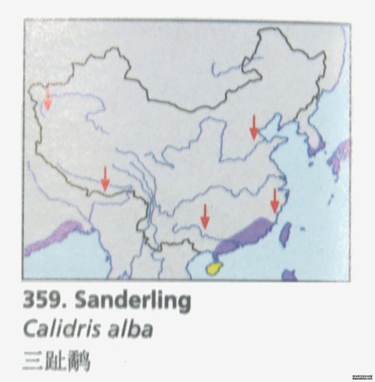 ��ֺ�ֵĵ����ֲ�ͼ