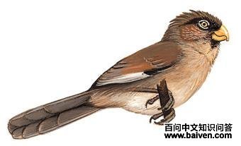 ��ֺѻȸ��ͼ��