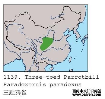 ��ֺѻȸ�ĵ����ֲ�ͼ