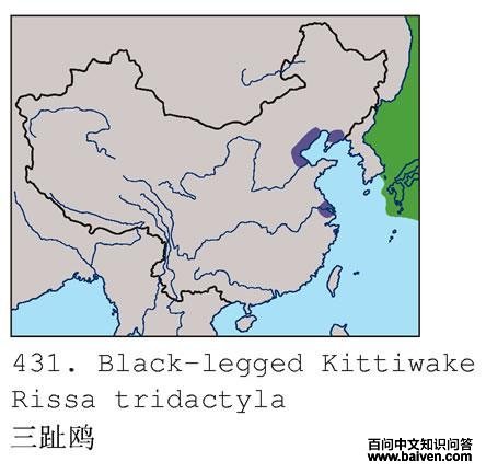 ��ֺŸ�ĵ����ֲ�ͼ