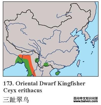 ��ֺ����ĵ����ֲ�ͼ