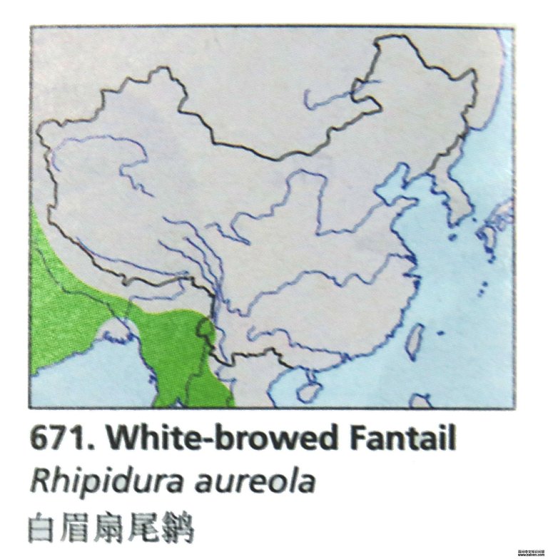 ��ü��β�l�ĵ����ֲ�ͼ