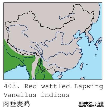 �ⴹ�󼦵ĵ����ֲ�ͼ