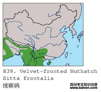 �޶����ĵ����ֲ�ͼ