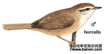 �ձ���ݺ��ͼ��