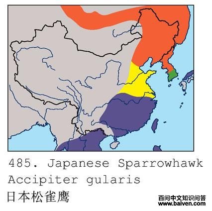 �ձ���ȸӥ�ĵ����ֲ�ͼ