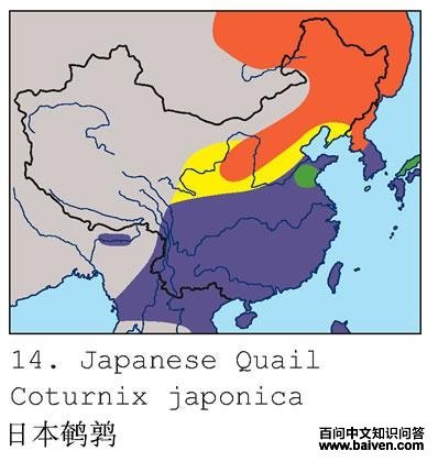 �ձ����ȵĵ����ֲ�ͼ