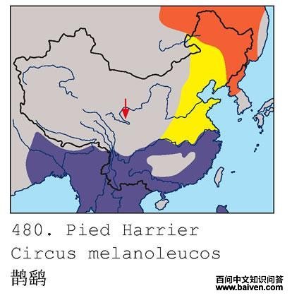 ȵ�εĵ����ֲ�ͼ