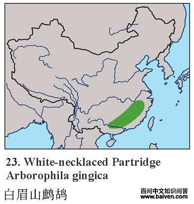 ��üɽ���ĵ����ֲ�ͼ