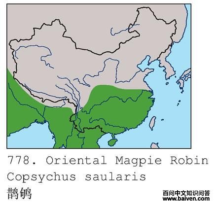 ȵ�ĵ����ֲ�ͼ