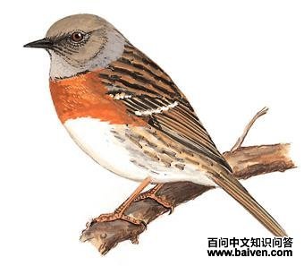 ����ҵ�ͼ��