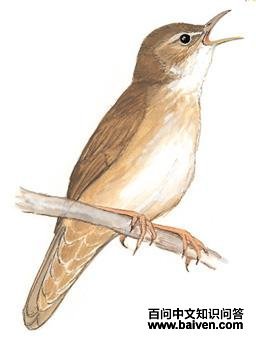 ��ݺ��ͼ��