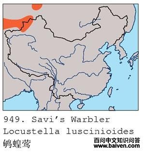 ��ݺ�ĵ����ֲ�ͼ