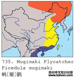 �[��]�l�ĵ����ֲ�ͼ