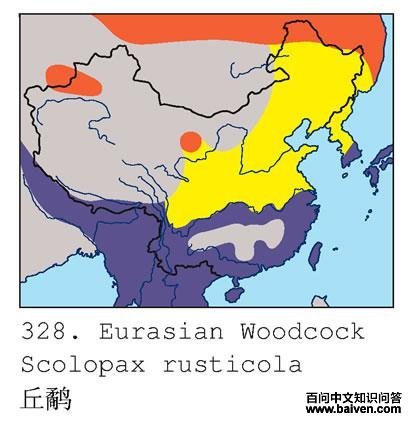 ���ֵĵ����ֲ�ͼ