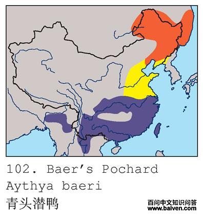 ��ͷǱѼ�ĵ����ֲ�ͼ