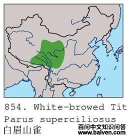 ��üɽȸ�ĵ����ֲ�ͼ