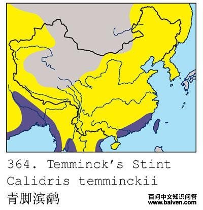 ��ű��ֵĵ����ֲ�ͼ