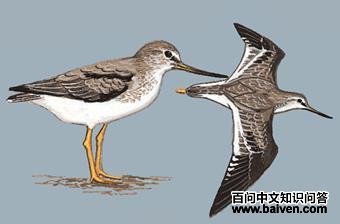 �����ֵ�ͼ��