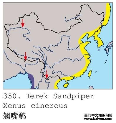 �����ֵĵ����ֲ�ͼ